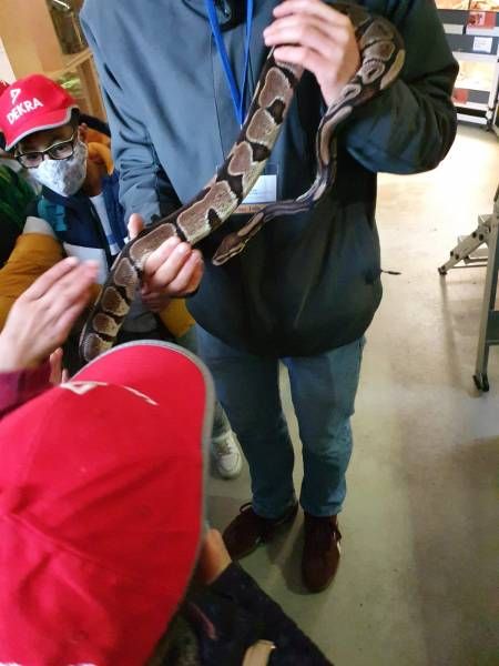 Ausflug in den Bochumer Tierpark